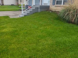 Shiney V.'s Lawn Mowing service result