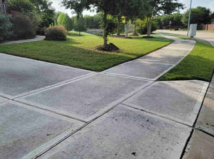 Raymond R.'s Lawn Maintenance service result