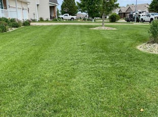 Denise K.'s Lawn Service service result