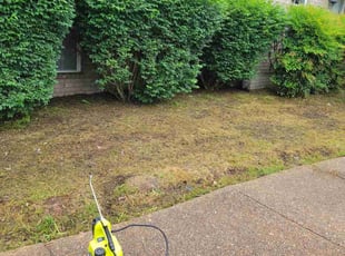 Weeding by Erik Carvotta for Kandece B. in Hendersonville, TN