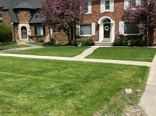 Rebecca M.'s Grass Cutting service result