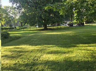 Trisha M.'s Lawn Mowing service result
