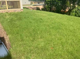Rebecca W.'s Yard Cutting service result
