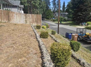 Marquis L.'s Bush Trimming service result