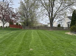 Candice P.'s Lawn Care service result