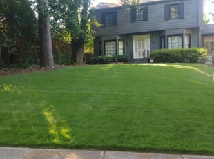 Gena A.'s Grass Cutting service result