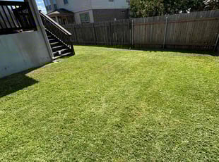 Catherine T.'s Lawn Mowing Service service result