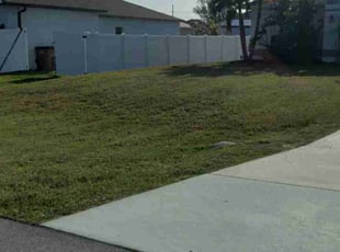 Kenn M.'s Yard Cutting service result