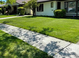 Tucker B.'s Lawn Mowing service result
