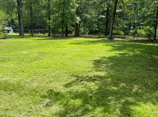 Manuel R.'s Lawn Mowing Service service result