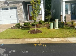 Michelle R.'s Lawn Mowing Service service result