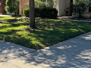 Rosie B.'s Lawn Mowing service result