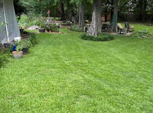 Adrian B.'s Lawn Service service result