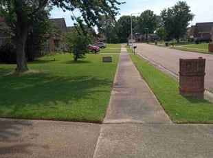 Michael R.'s Lawn Mowing service result