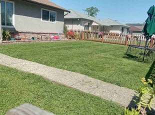 Ms. J.'s Grass Cutting service result