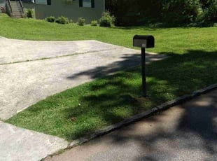 Luz M.'s Lawn Care service result