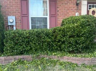 Bush Trimming by Caree Keith for Edith P. in Waldorf, MD
