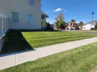 Antuan M.'s Lawn Care service result