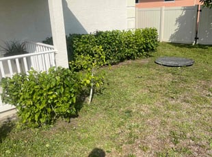Kevin H.'s Bush Trimming service result