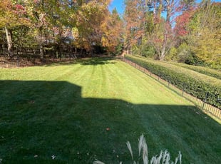 Christopher H.'s Lawn Service service result
