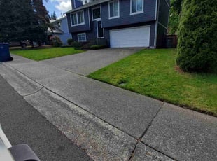 Hassan A.'s Lawn Service service result
