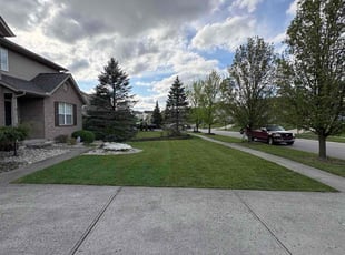 Kenny B.'s Yard Cutting service result