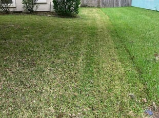 Lexi W.'s Lawn Care service result