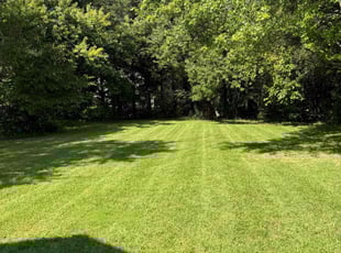 Clarence T.'s Lawn Mowing service result