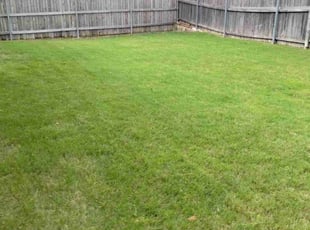 Fernando L.'s Lawn Mowing service result