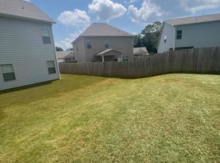 Gene F.'s Lawn Mowing service result