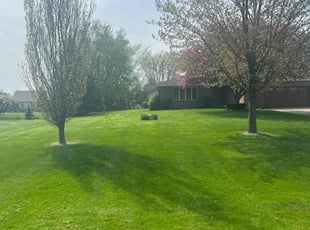 Alexis R.'s Grass Cutting service result