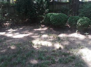 Cleanups by Aaron Kinchen for Matt H. in Richmond, VA