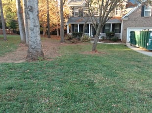 Leaf Removal by Joseph Clawson for Audrey H. in Cornelius, NC