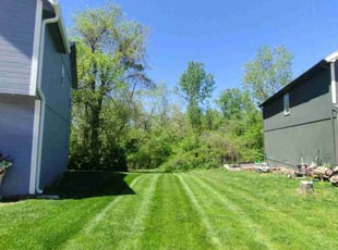 Iesha W.'s Lawn Service service result
