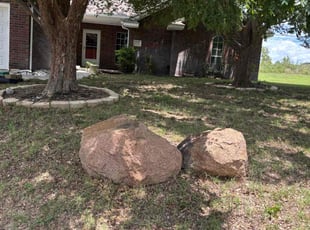 Jacqueline C.'s Leaf Removal service result