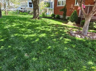 Lisa T.'s Lawn Mowing Service service result