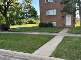 Angela H.'s Yard Cutting service result