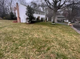 Bush Trimming by Alesandre Duarte for Thanaphon T. in Reston, VA