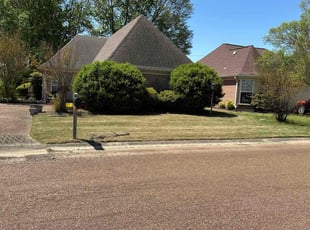 Anthony G.'s Lawn Service service result