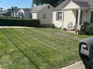 Vivian G.'s Grass Cutting service result