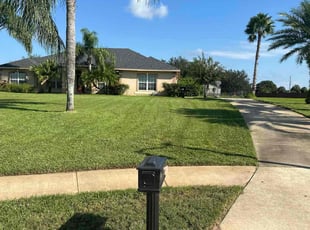 Lisa G.'s Yard Cutting service result