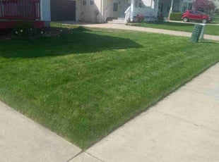 Sheila H.'s Lawn Maintenance service result