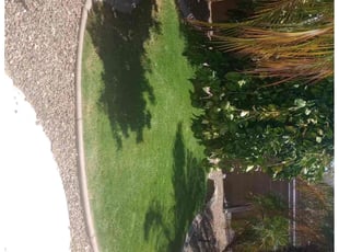 James C.'s Lawn Mowing Service service result