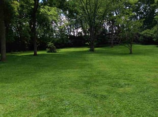 Reed f.'s Lawn Mowing service result