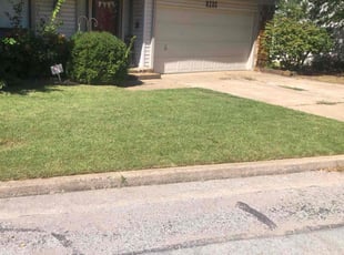 Cyndi C.'s Yard Cutting service result