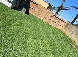 Joshua W.'s Lawn Mowing service result