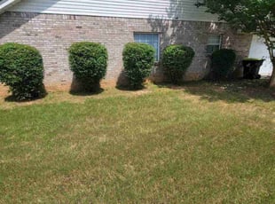 Colin N.'s Bush Trimming service result