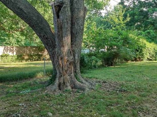 Cleanups by Andrew Mills for Ryan J. in Tulsa, OK