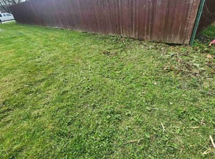 Weeding by Brooke Ardoin for Mackenzie Y. in Glen Ellyn, IL