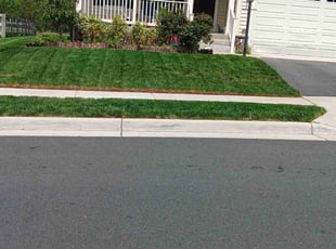 Lesley K.'s Lawn Care service result